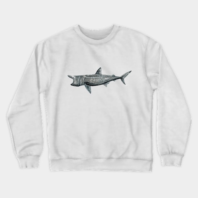 Basking shark Crewneck Sweatshirt by chloeyzoard